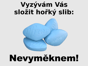 Hořký slib